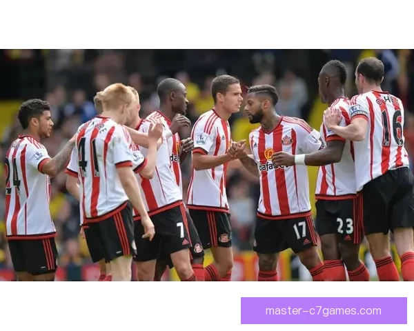 桑德兰俱乐部的历史沿革与未来发展展望分析